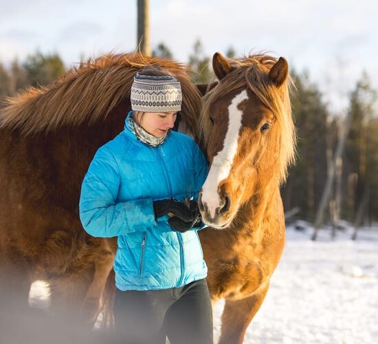 Horse Sleigh Ride under the Night Sky © apukka resort